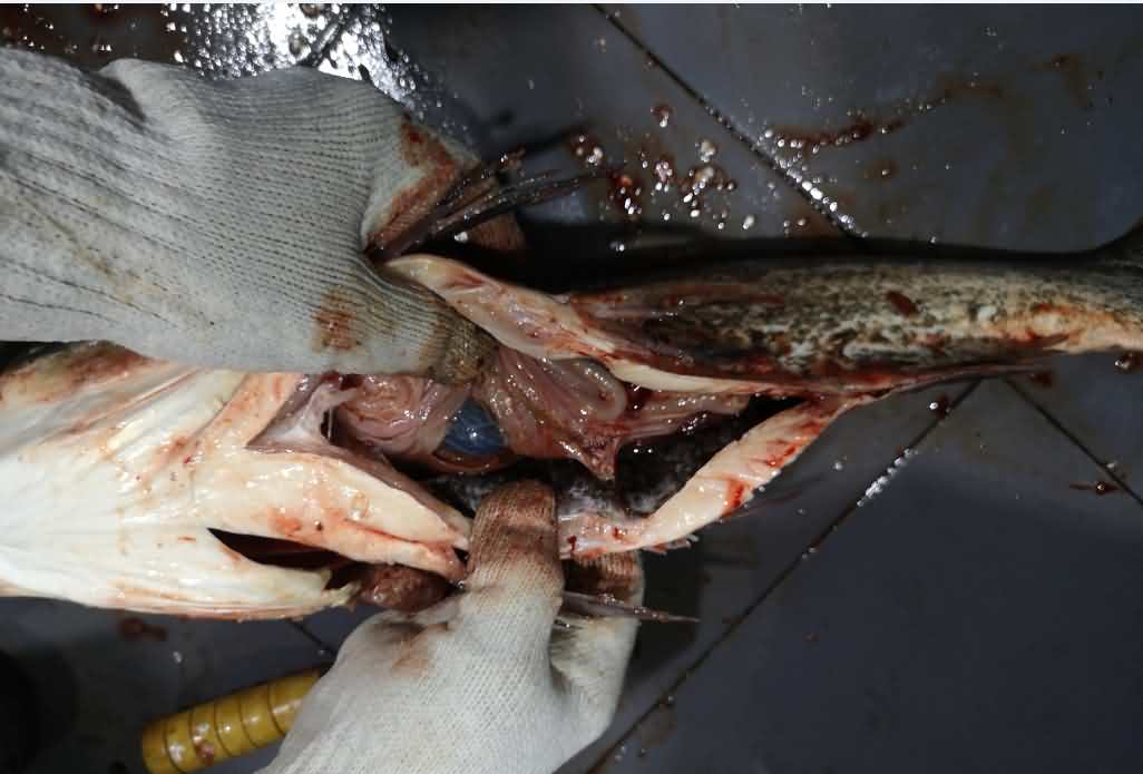 5d1c196e91626.jpg 5d1c196e91626.jpg