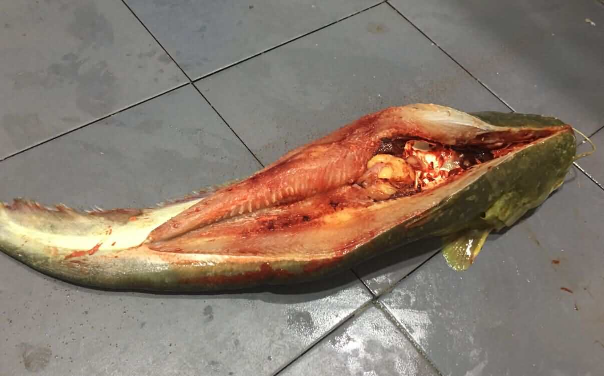 5d648c751aae1.jpg 5d648c751aae1.jpg