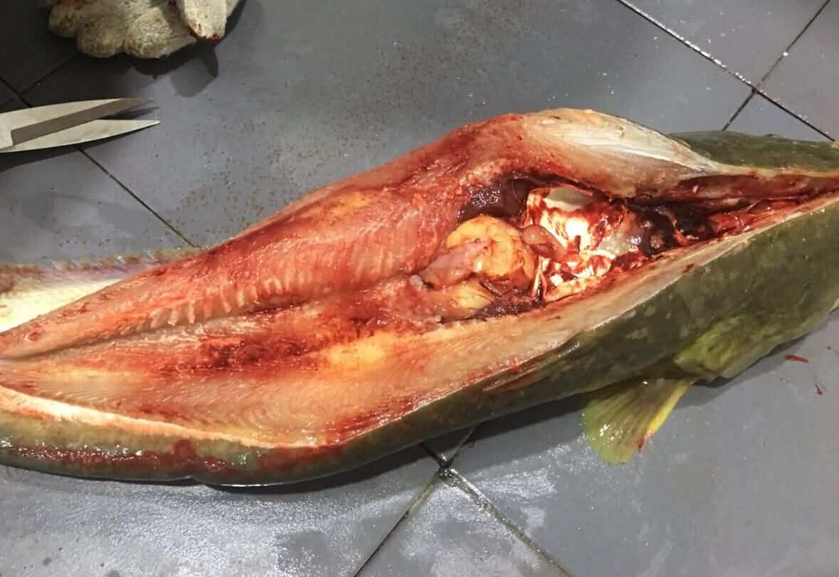 5d648c757036b.jpg 5d648c757036b.jpg