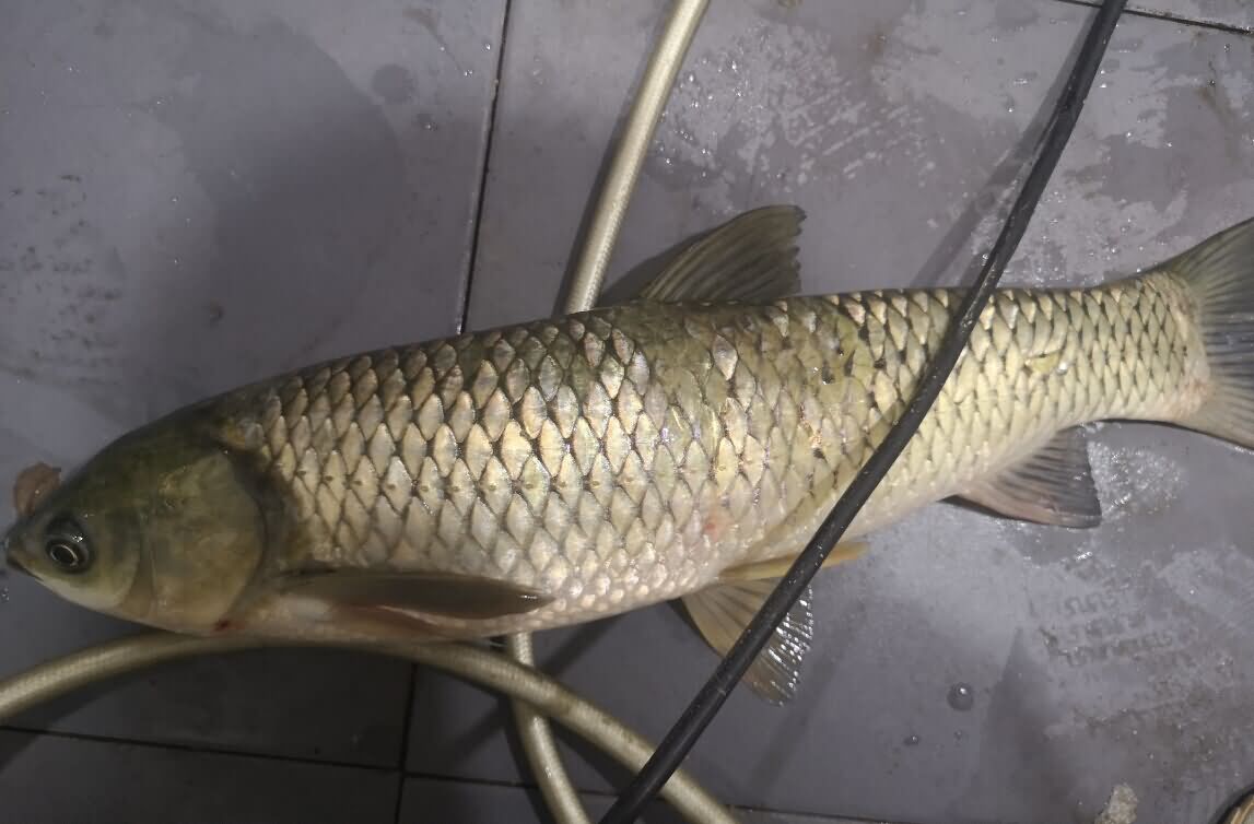 5d8d66e017340.jpg 5d8d66e017340.jpg