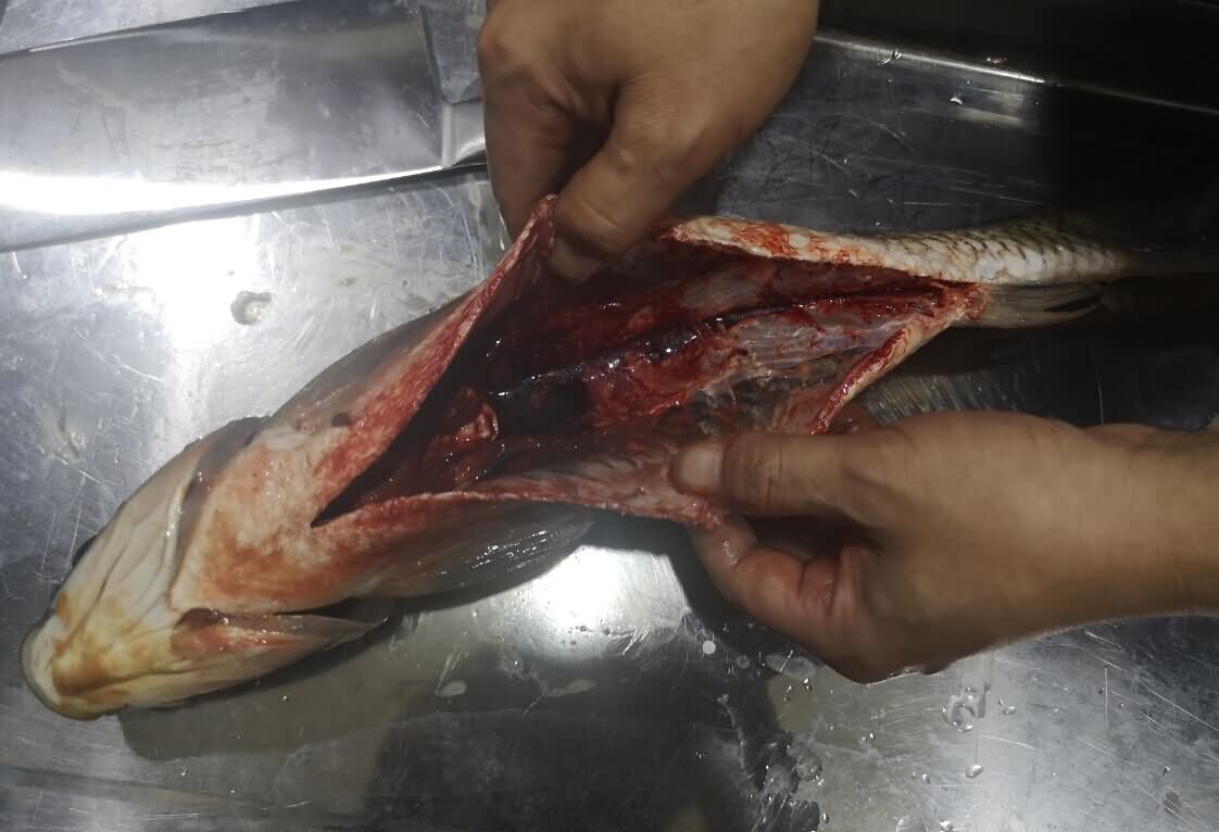 5d8d66e06f089.jpg 5d8d66e06f089.jpg