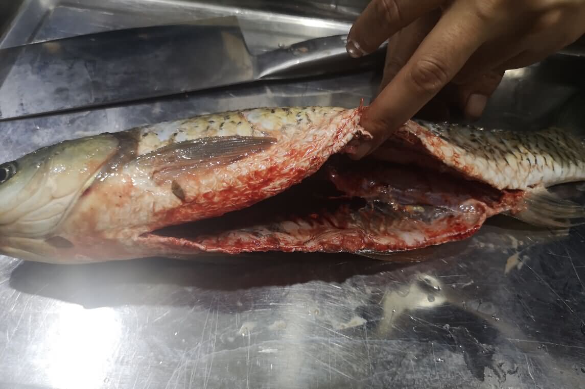 5d8d66e0b70ca.jpg 5d8d66e0b70ca.jpg