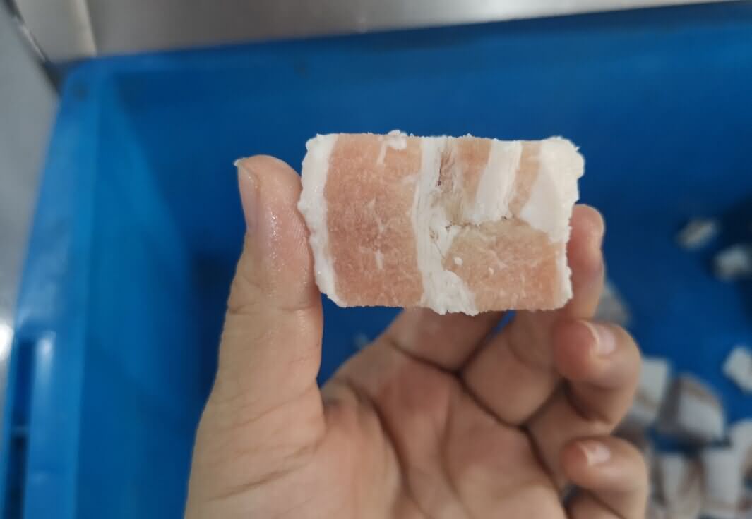 5d993f6b5fa3a.jpg 5d993f6b5fa3a.jpg