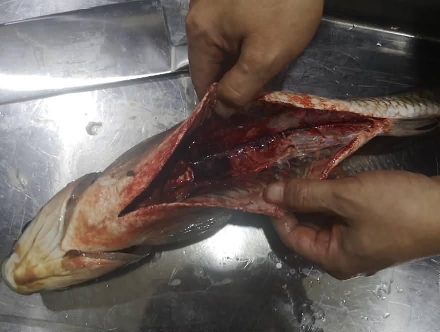 5da967981979d.jpg 5da967981979d.jpg