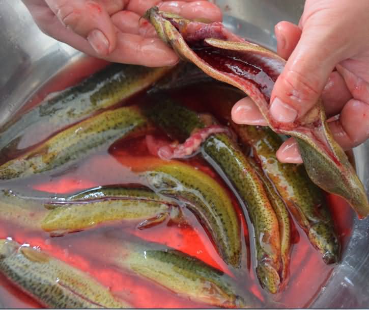 5db3df77c59e0.jpg 5db3df77c59e0.jpg