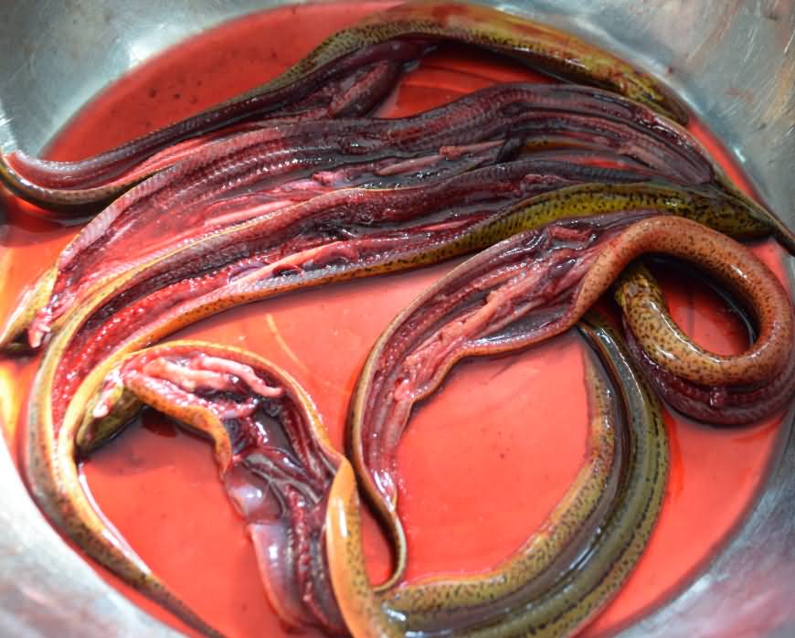 5db3df7b172cd.jpg 5db3df7b172cd.jpg