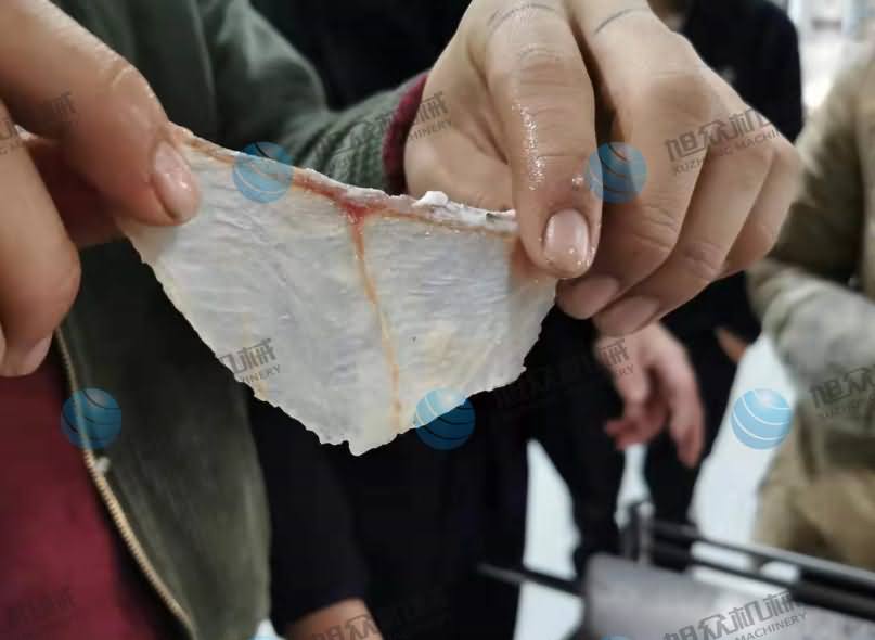 鱼片机，鱼片机器，片鱼机，片鱼片机，全自动斜切鱼片机