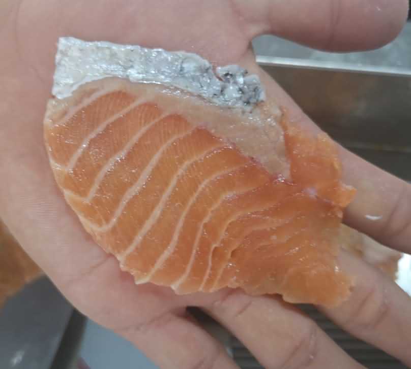 鱼片机，自动切鱼片机，旭众鱼片机，多功能切鱼片机，鱼片机多少钱