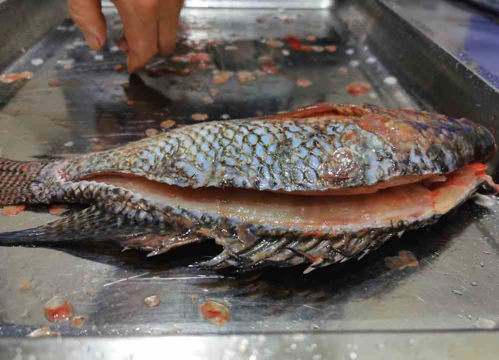 5e8d619cce1f7.jpg 5e8d619cce1f7.jpg