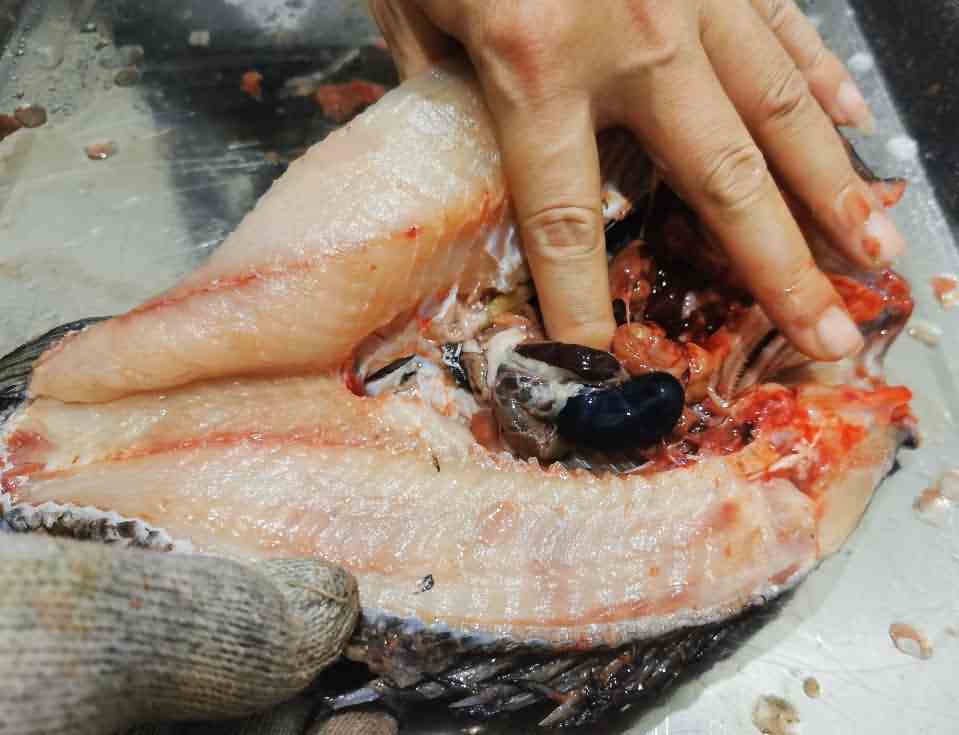 5e8d619d13f70.jpg 5e8d619d13f70.jpg