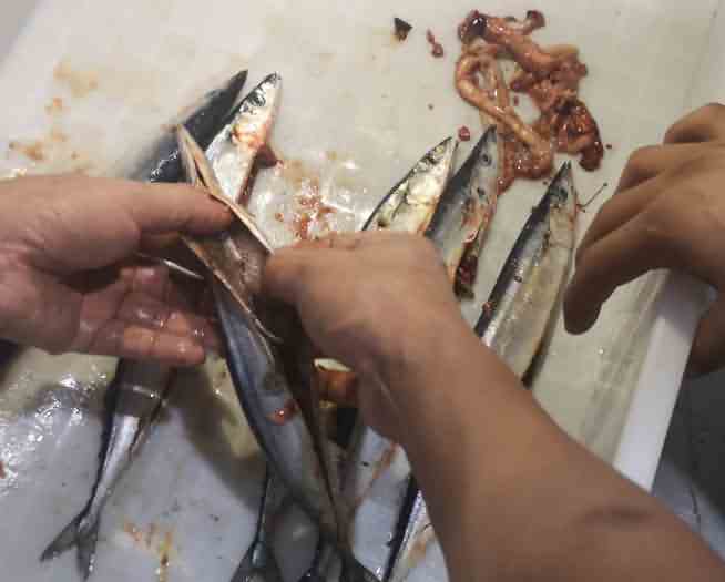 5ea12c88e4662.jpg 5ea12c88e4662.jpg