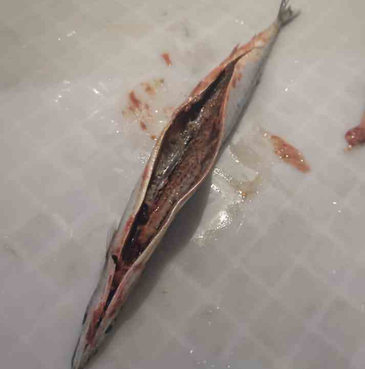 5ea12c89a9dcf.jpg 5ea12c89a9dcf.jpg