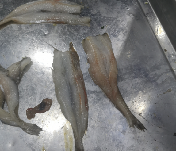 5ef04627d56c0.png 5ef04627d56c0.png