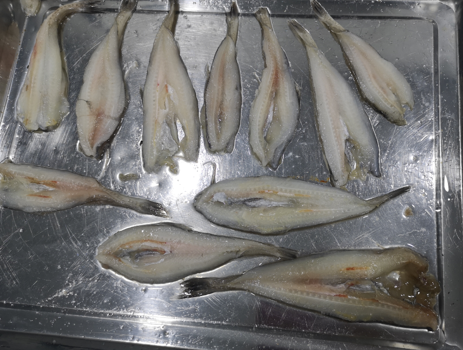 5ef0463e31229.png 5ef0463e31229.png