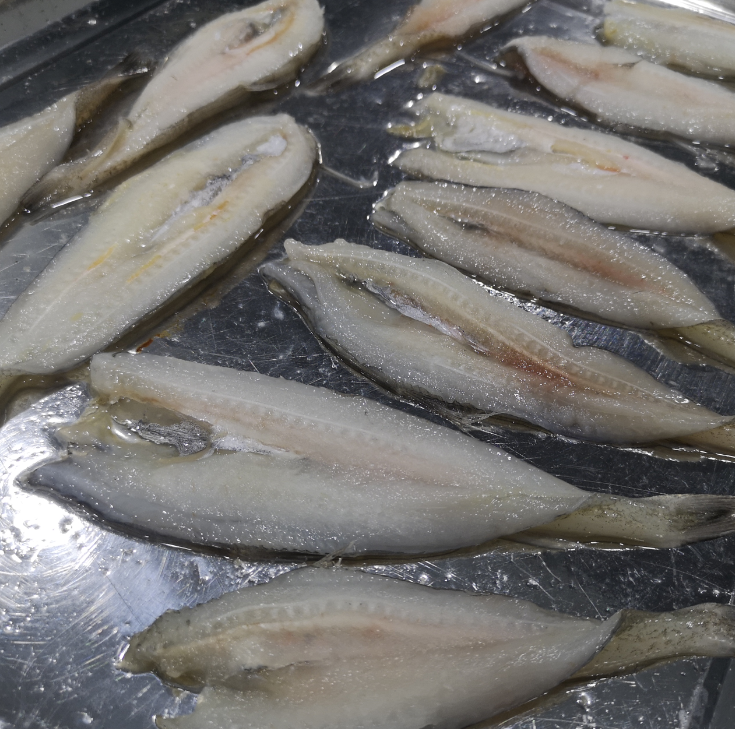 5ef04659b00fe.png 5ef04659b00fe.png