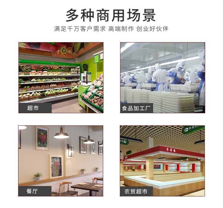 艾博驰ABCH-13禽肉类剁块机10